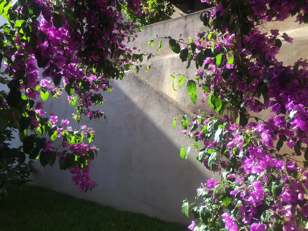 Sobre Ribas 2|12 Apartamento Coimbra